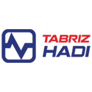 لوگو تبریزهادی